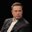 Elon Musk (fake)